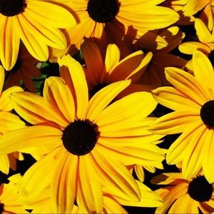 Meet your Posher, Jordyn